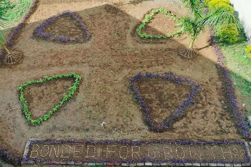 project